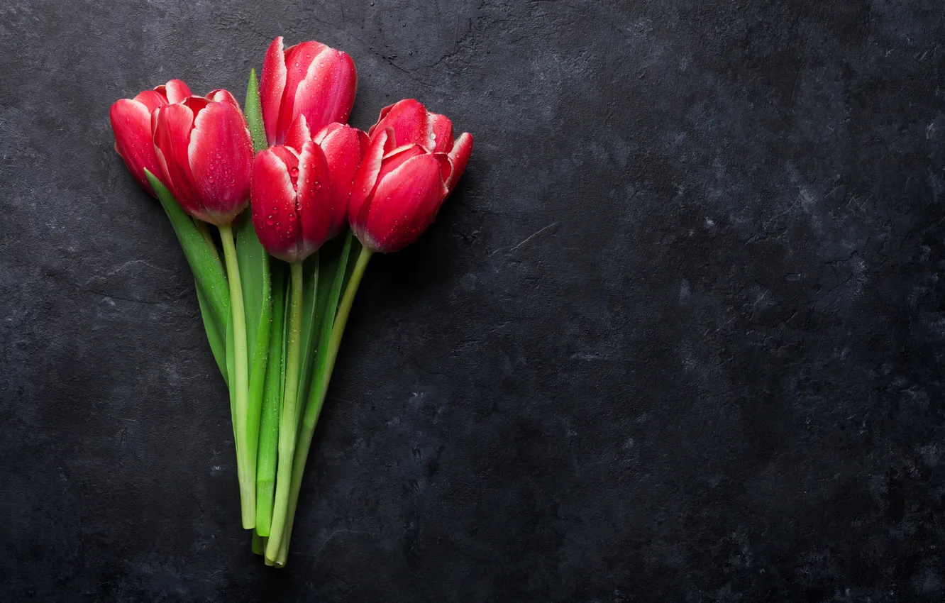 Фото обои цветы, букет, тюльпаны, красные, red, wood, flowers, romantic