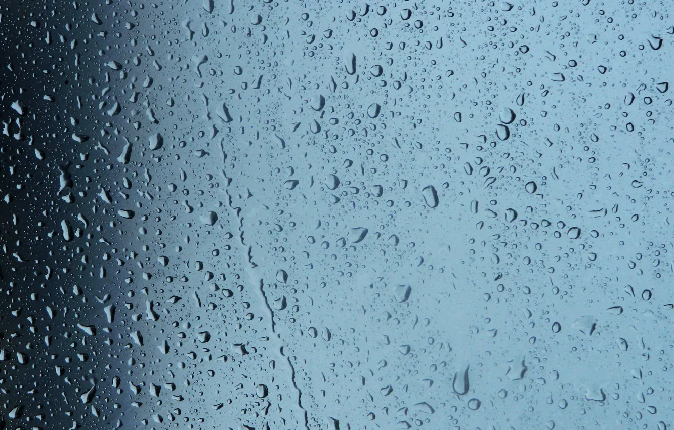 Фото обои капли, капельки, дождь, Вода