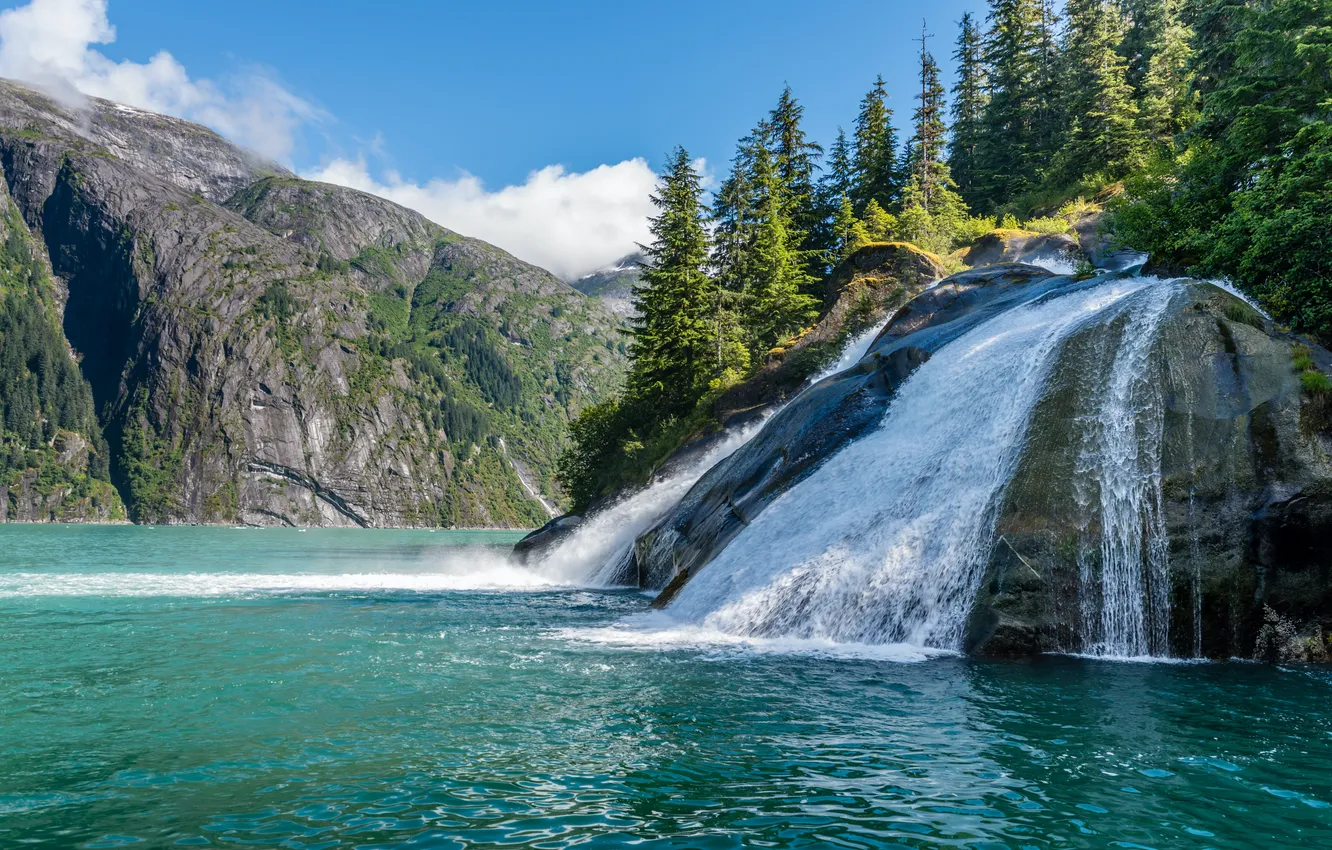 Фото обои forest, sea, ocean, mountains, alaska, waterfall, reflection, fjord