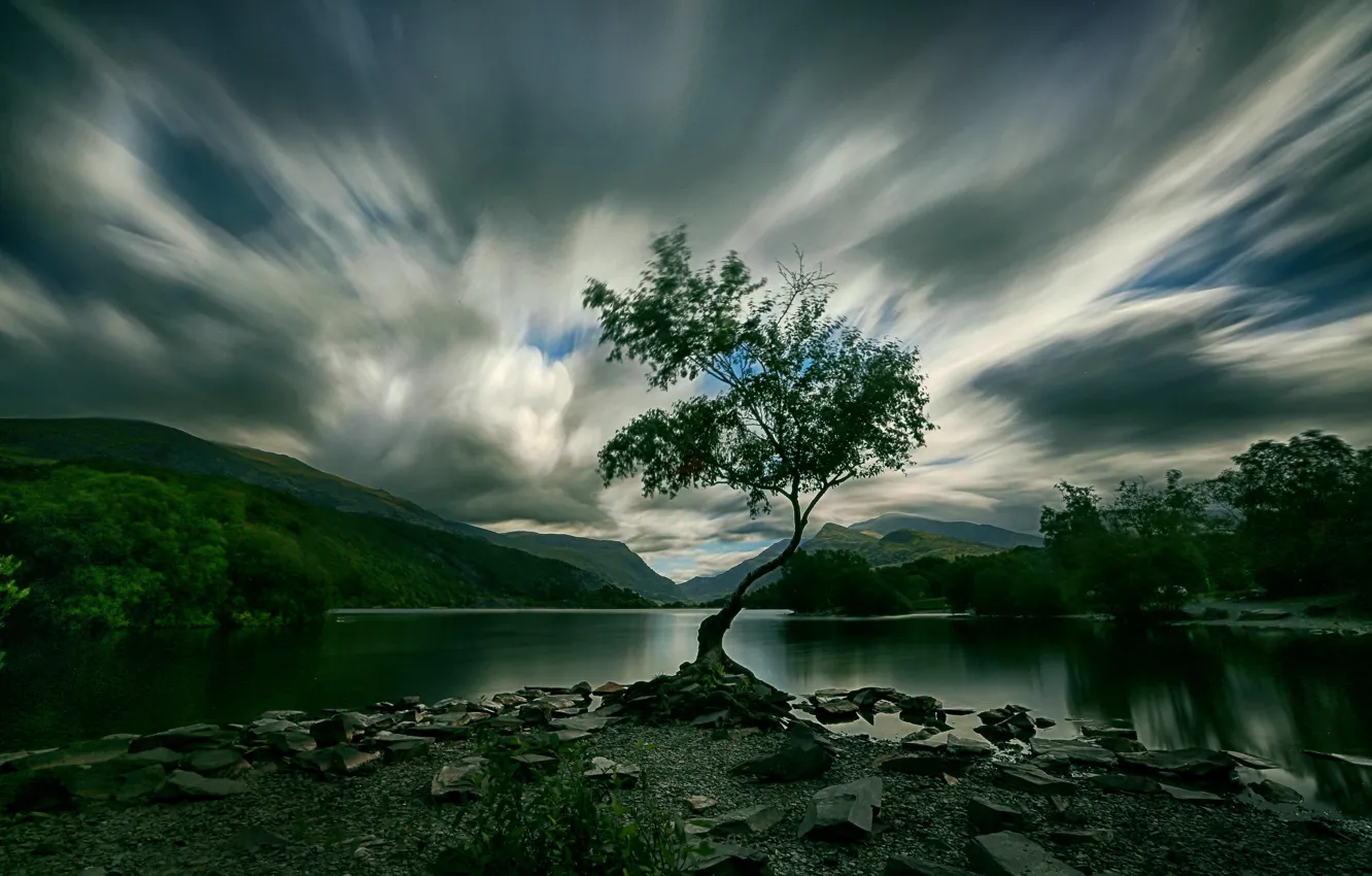 Фото обои деревья, озеро, Уэльс, Ллин Падарн