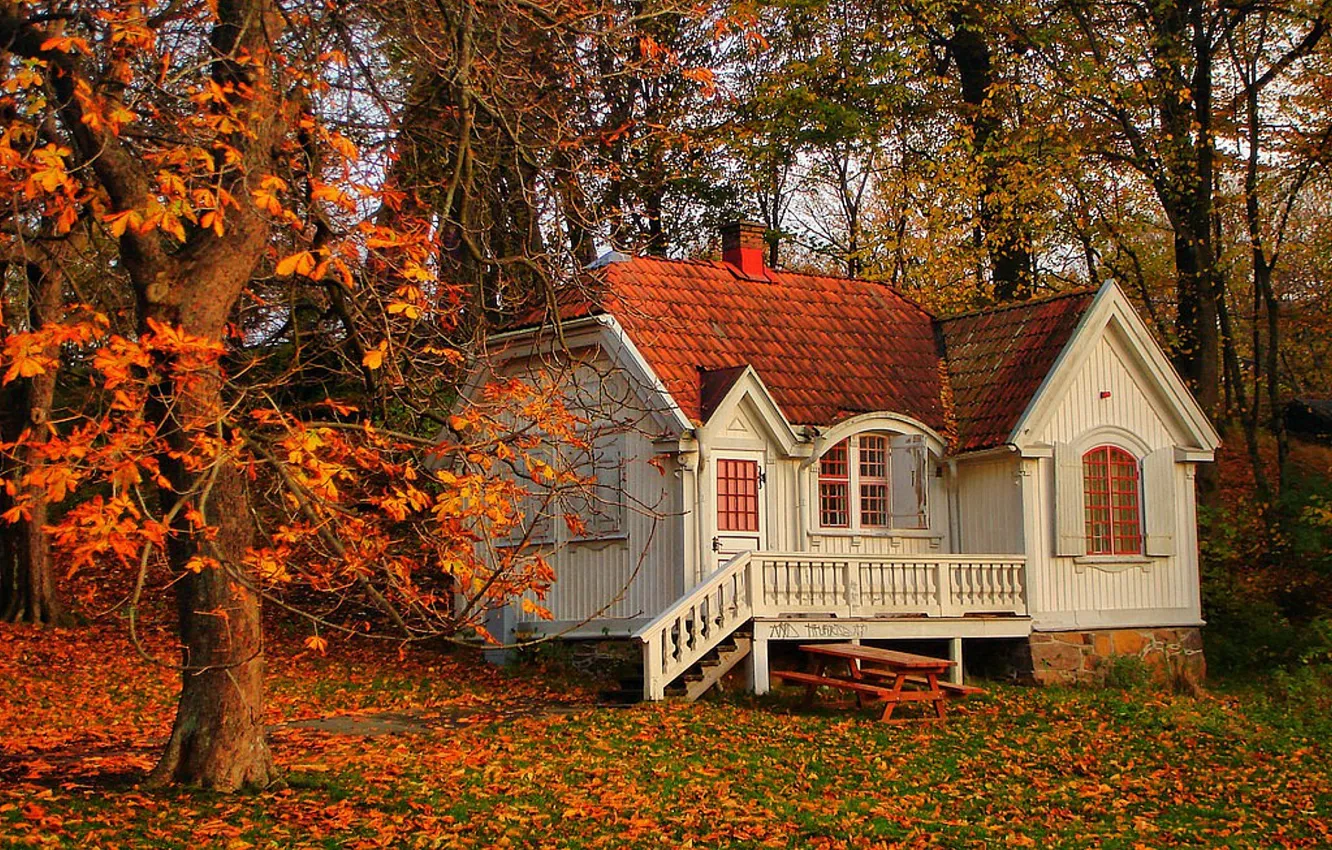 Фото обои осень, листья, деревья, пейзаж, природа, дом, дерево