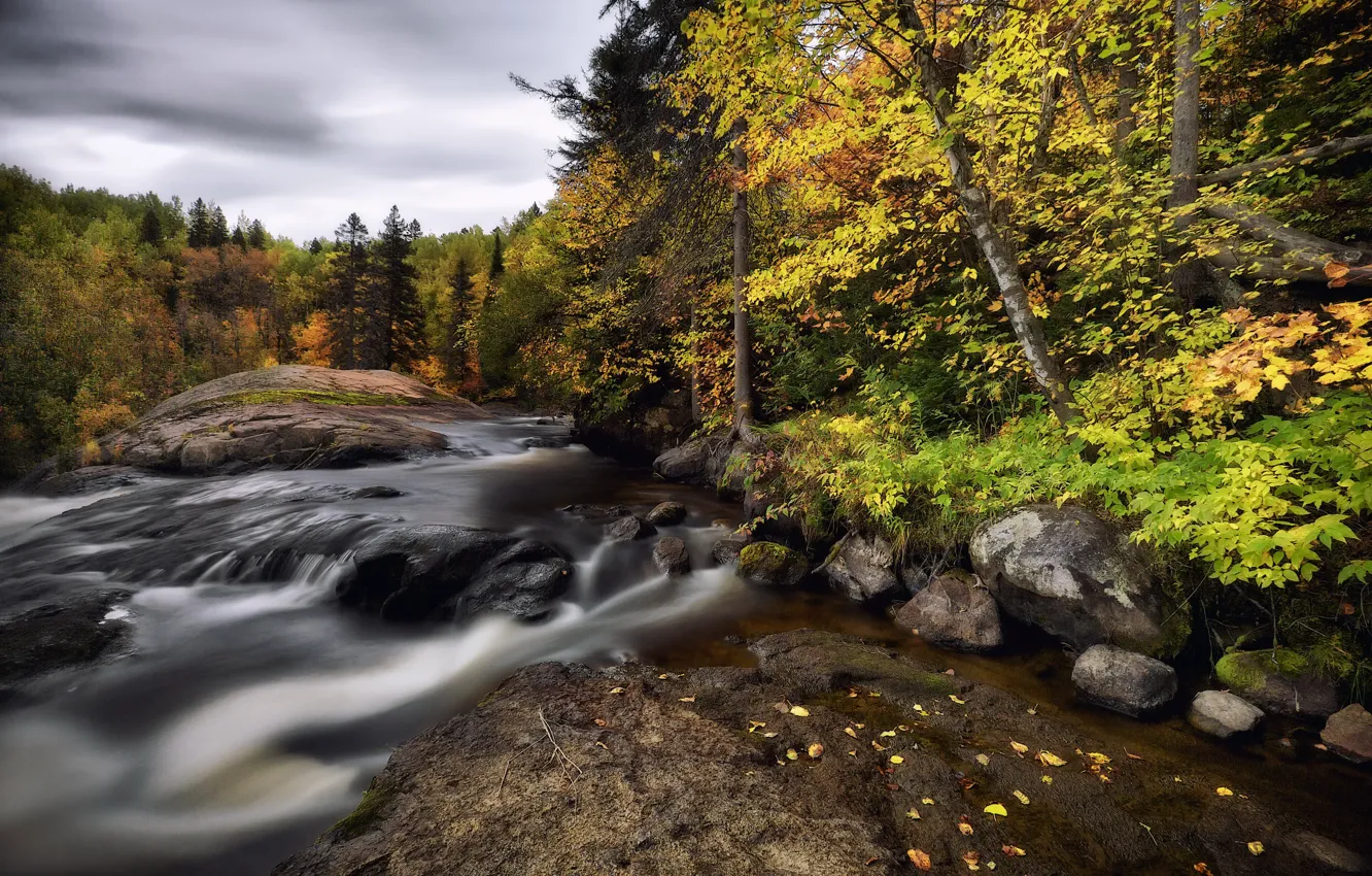 Фото обои осень, природа, река