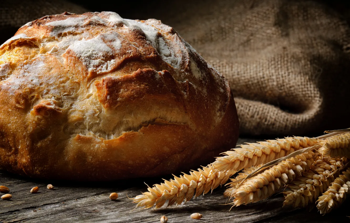 Фото обои пшеница, белый, круглый, зерна, хлеб, колосья