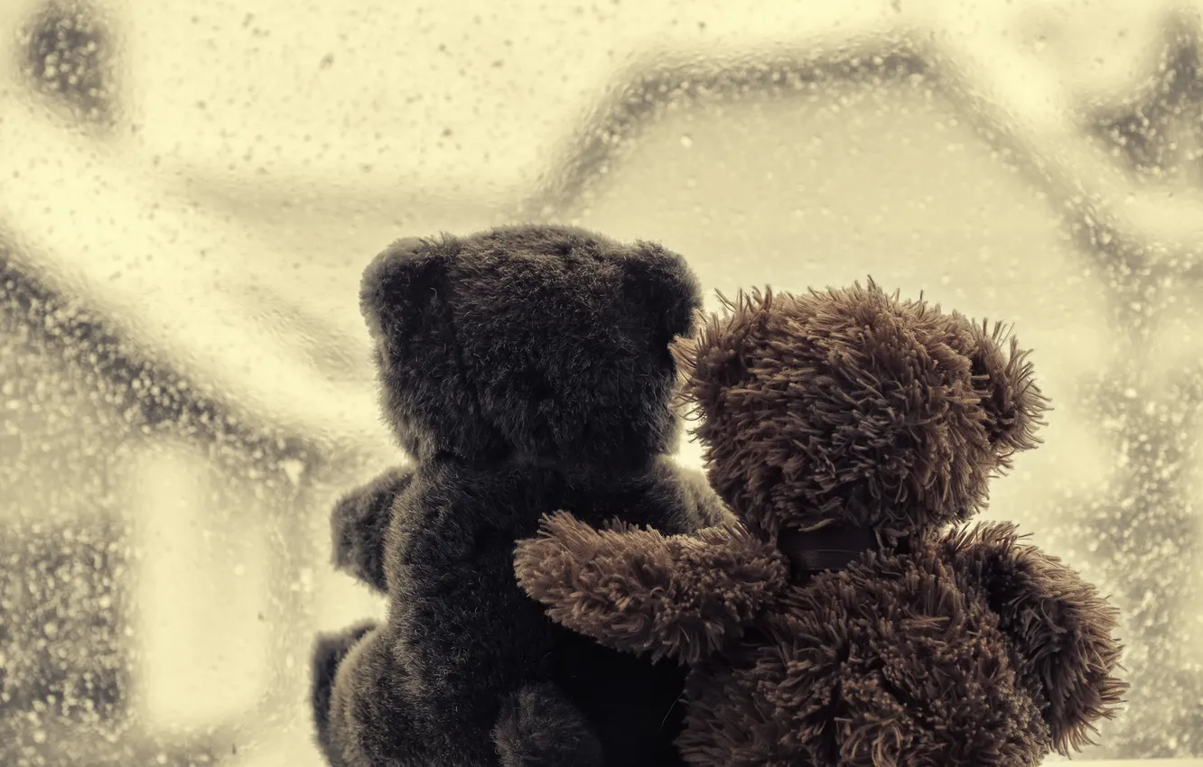 Фото обои любовь, мишка, love, toy, bear, heart, romantic, sweet