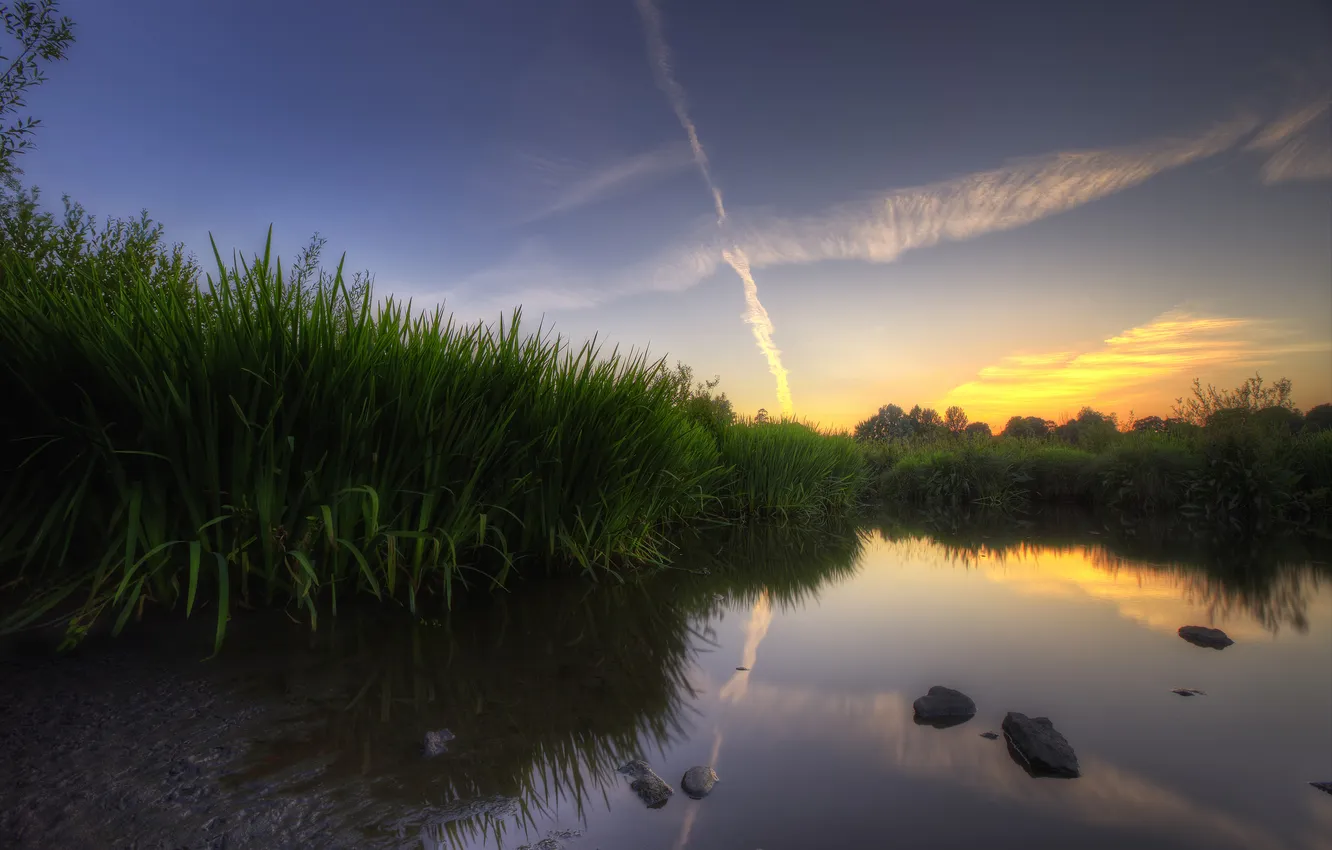 Фото обои трава, закат, озеро, отражение, болото
