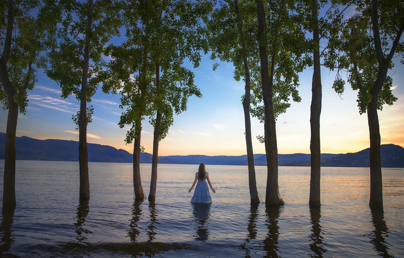 Фото обои девушка, деревья, платье, в воде, Lichon, Floodplains