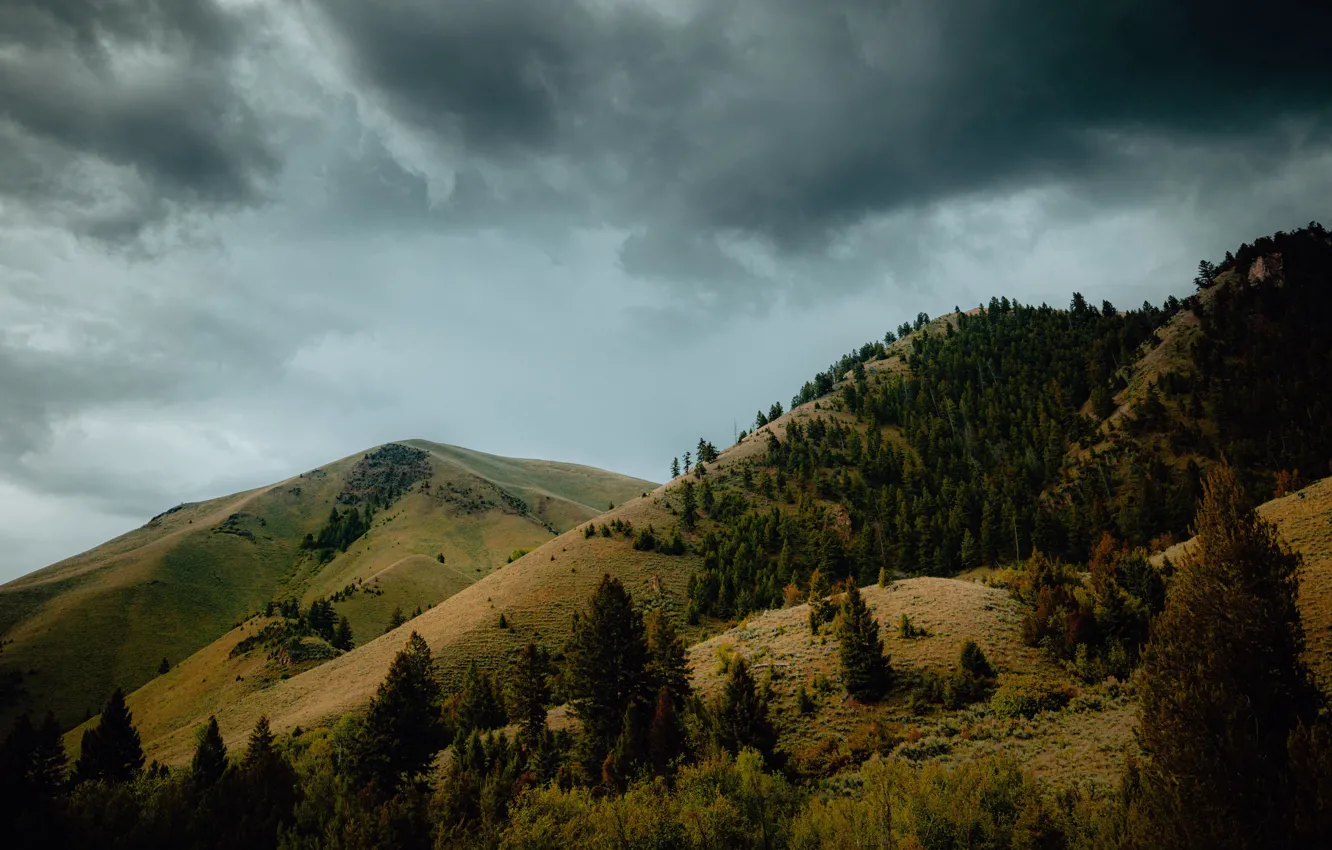 Фото обои лес, небо, облака, горы, тучи, пасмурно, склон