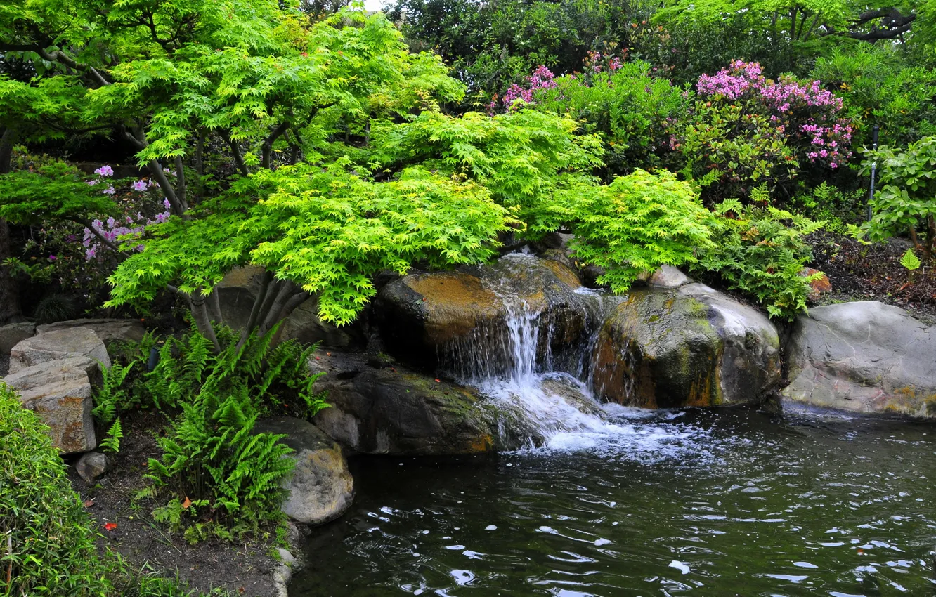 Фото обои камни, сад, Калифорния, кусты, Miller Japanese Garden, ручей.водопад