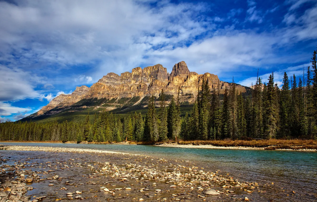 Фото обои лес, небо, деревья, горы, река, Канада, Альберта, Castle Mountain