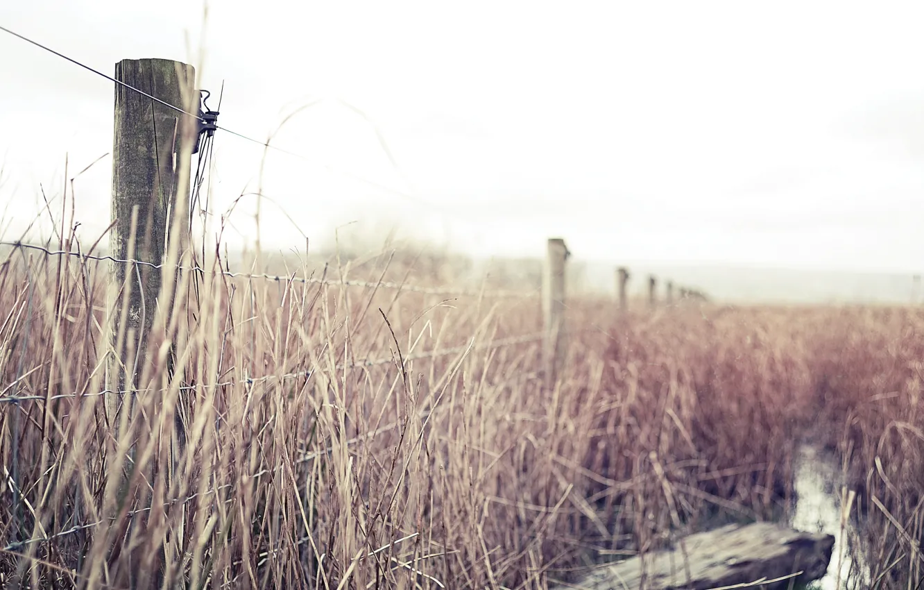 Фото обои fence, wire, farm