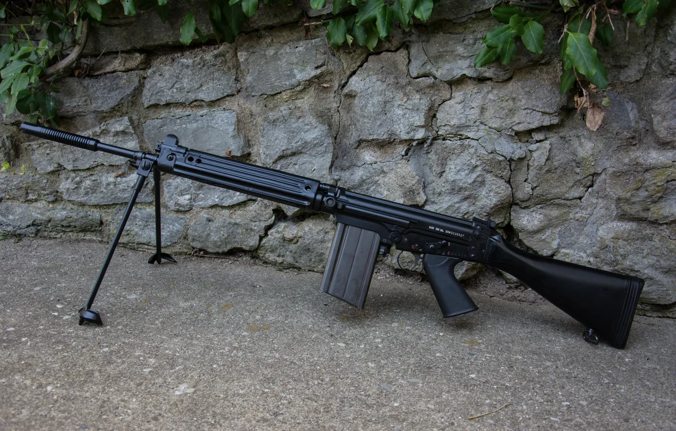 Фото обои стена, винтовка, автоматическая, FN FAL, (STG58)