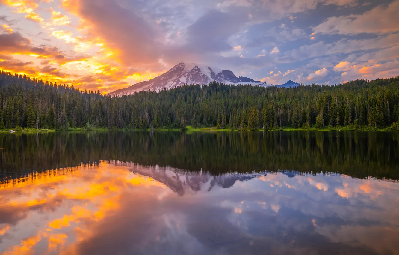 Фото обои лес, закат, горы, озеро, отражение, водоем