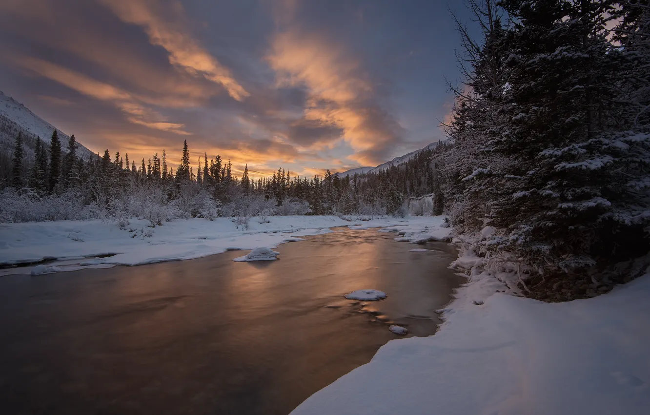 Фото обои зима, лес, небо, снег, река, Канада, Canada, Yukon