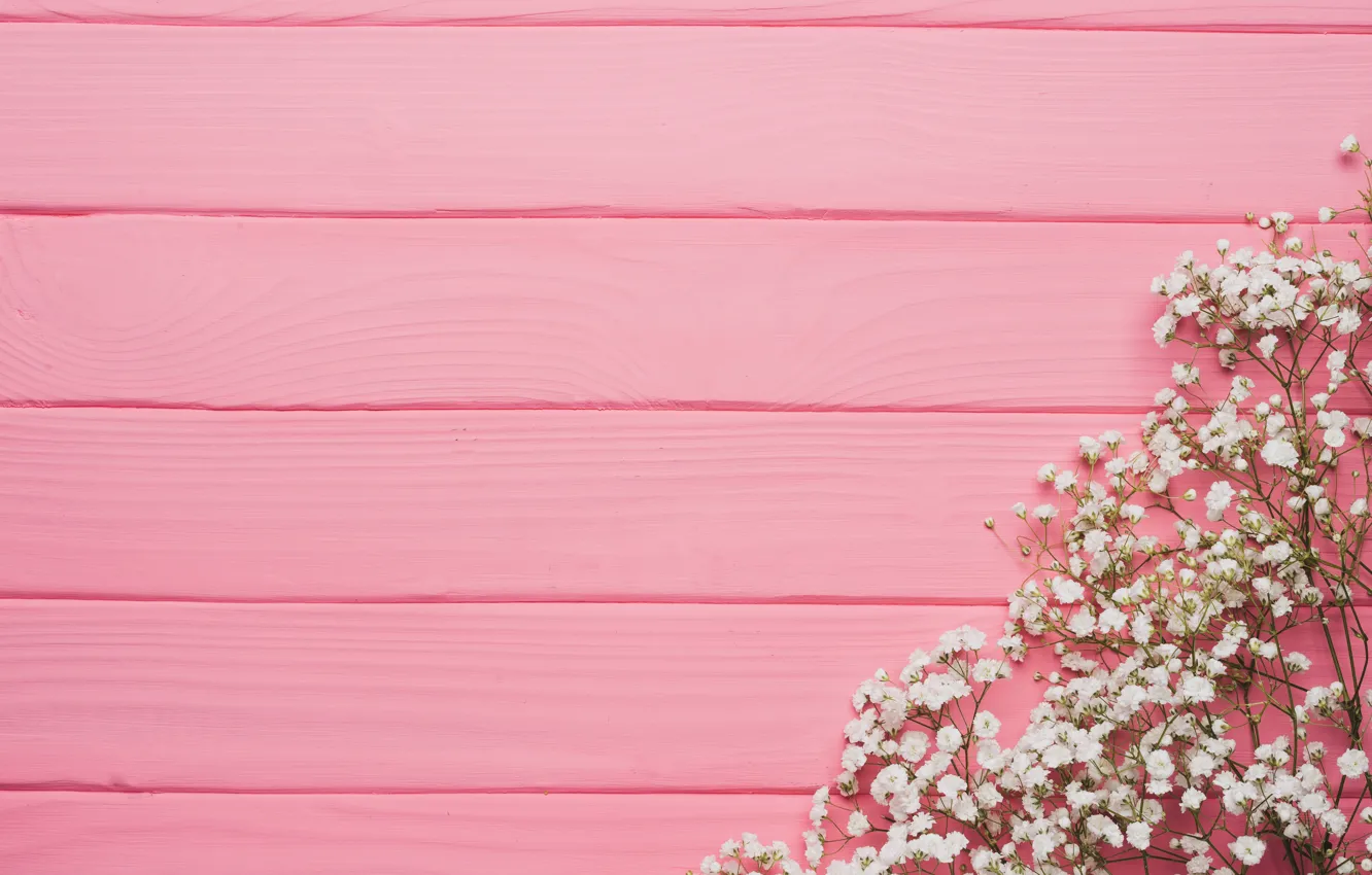 Фото обои цветы, фон, дерево, розовый, texture, pink, flowers, background