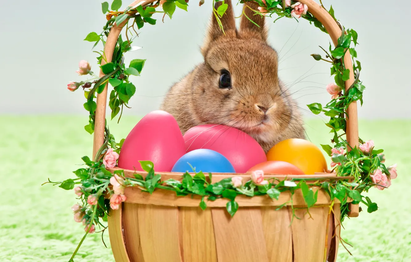 Фото обои праздник, корзина, яйца, кролик, пасха