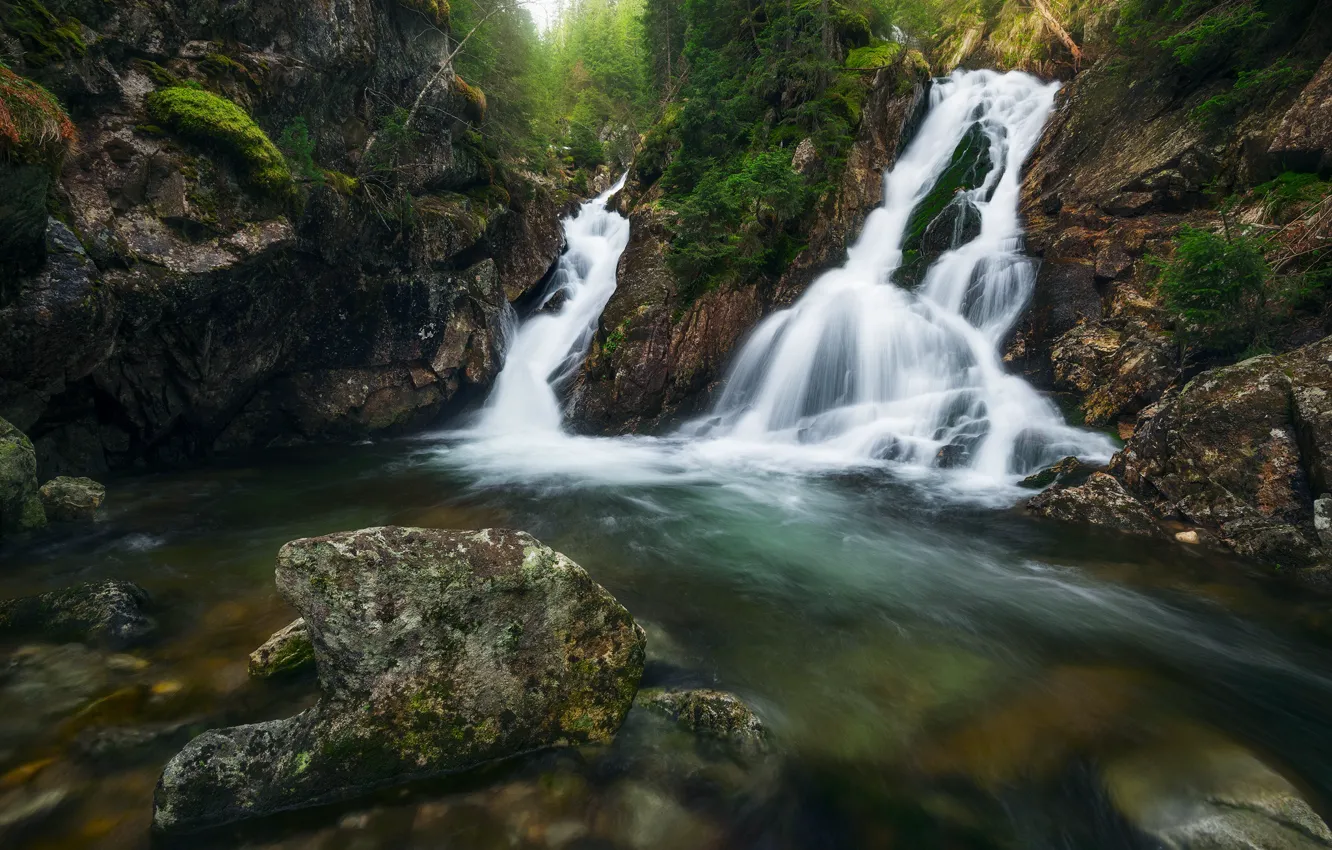 Фото обои лес, лето, камни, скалы, водопад, поток, водопады, водоем