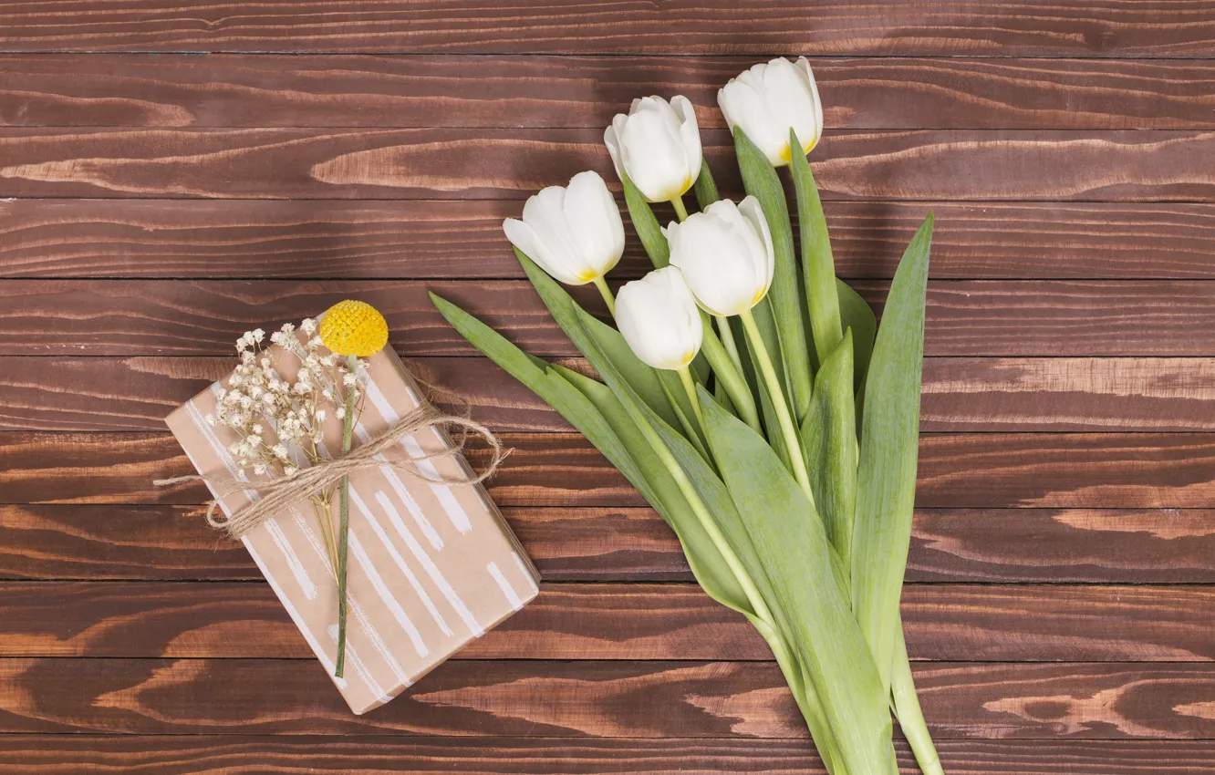 Фото обои букет, тюльпаны, белые