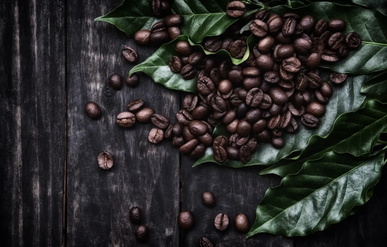 Фото обои листья, темный фон, доски, кофе, россыпь, кофейные зёрна
