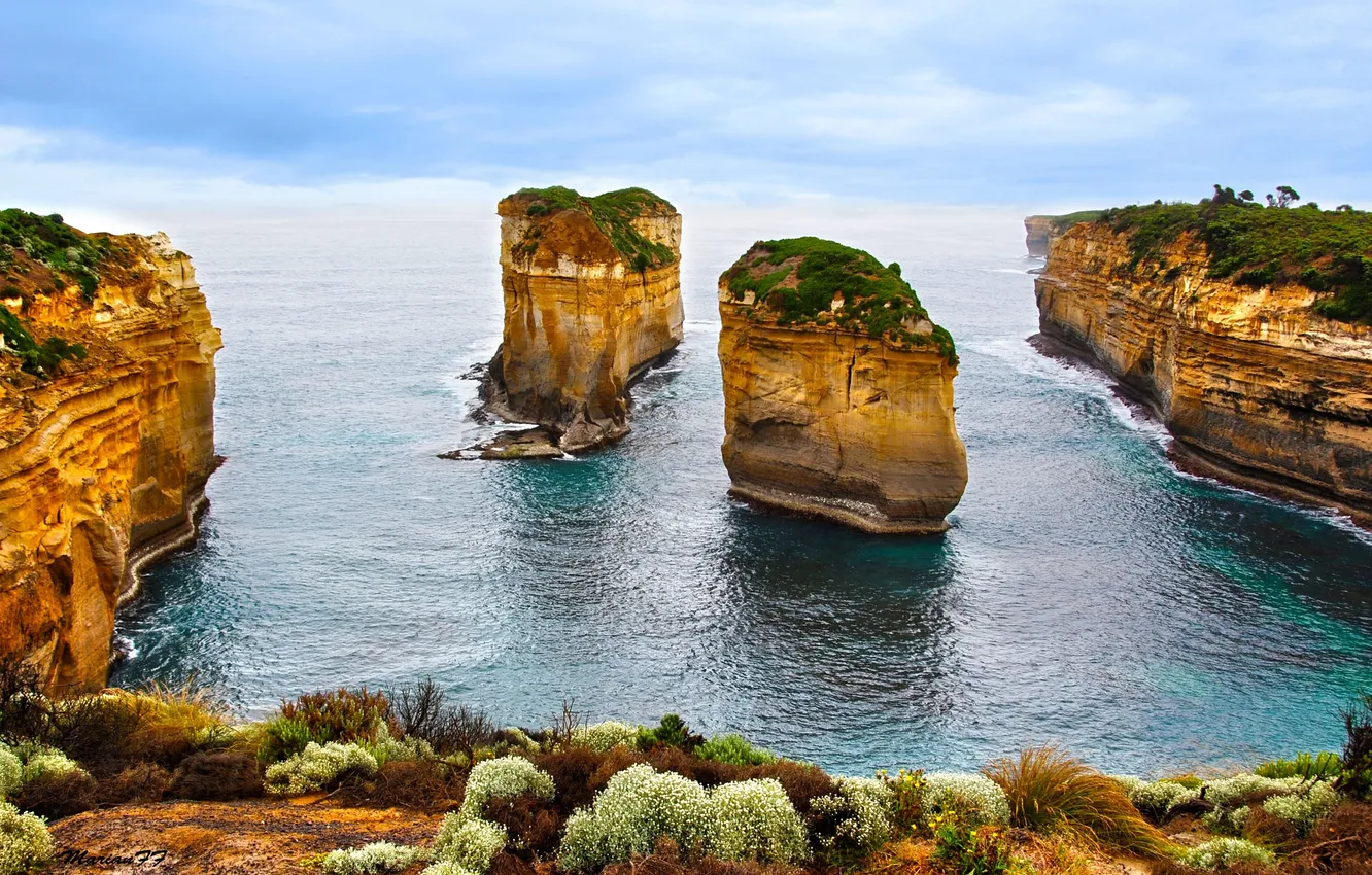 Фото обои coast, rocks, island, bushes
