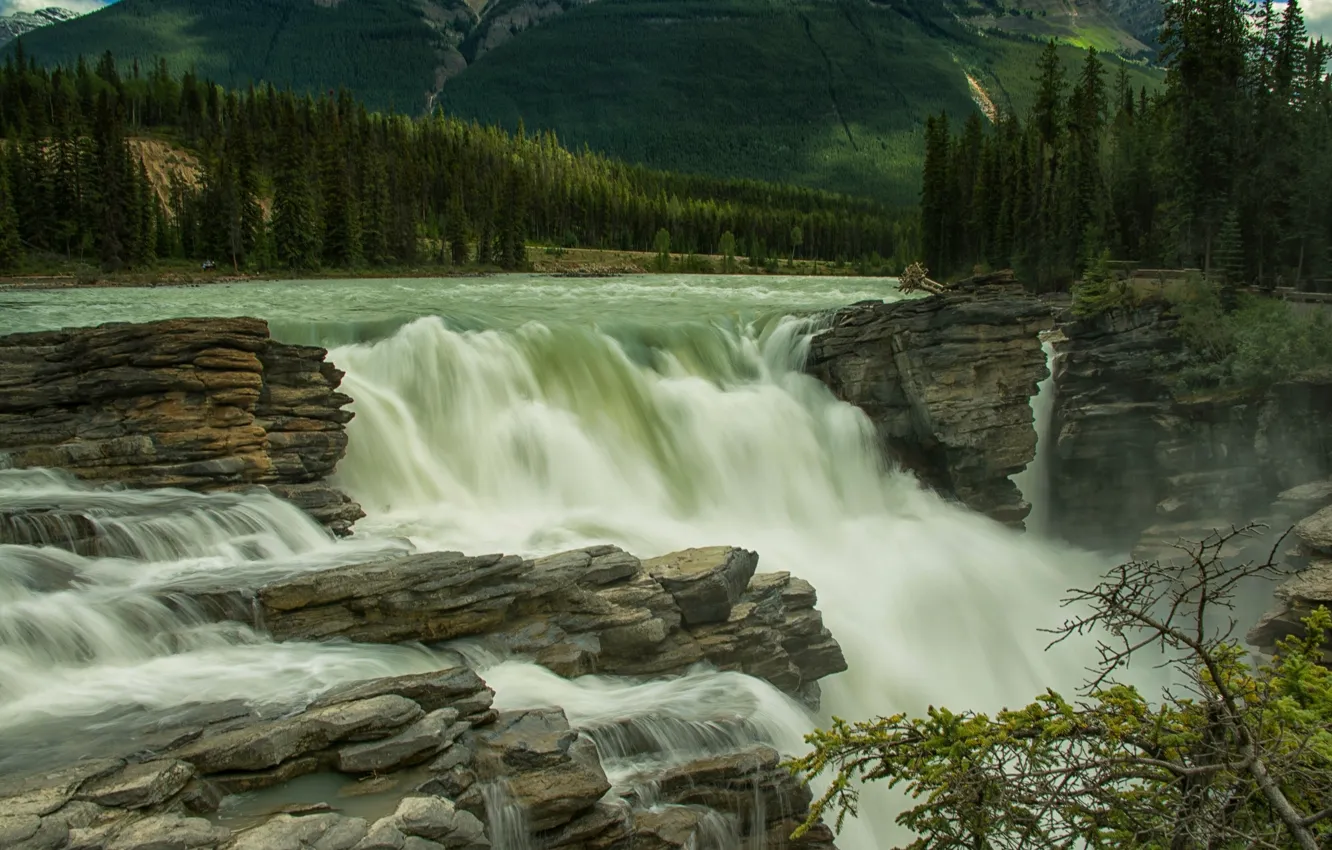 Фото обои лес, деревья, река, камни, водопад, Канада, Альберта, Jasper