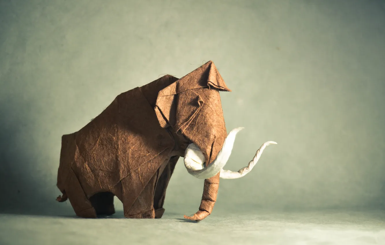 Фото обои животное, коричневый, оригами, мамонт, brown, animal, клык, origami