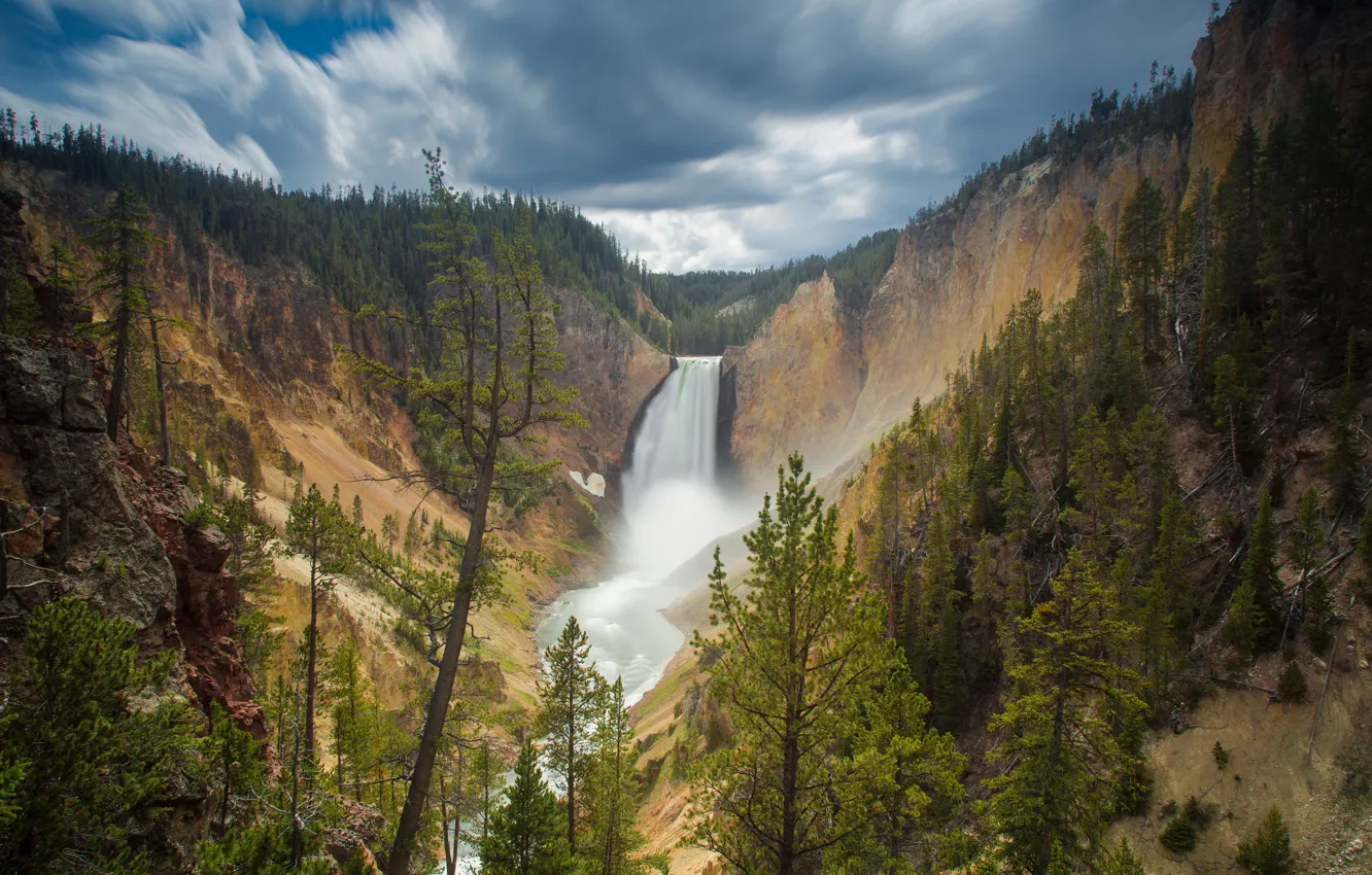 Фото обои лес, скала, водопад, Wyoming, Lower Falls, USА, Canyon Junction, yellowstone national park