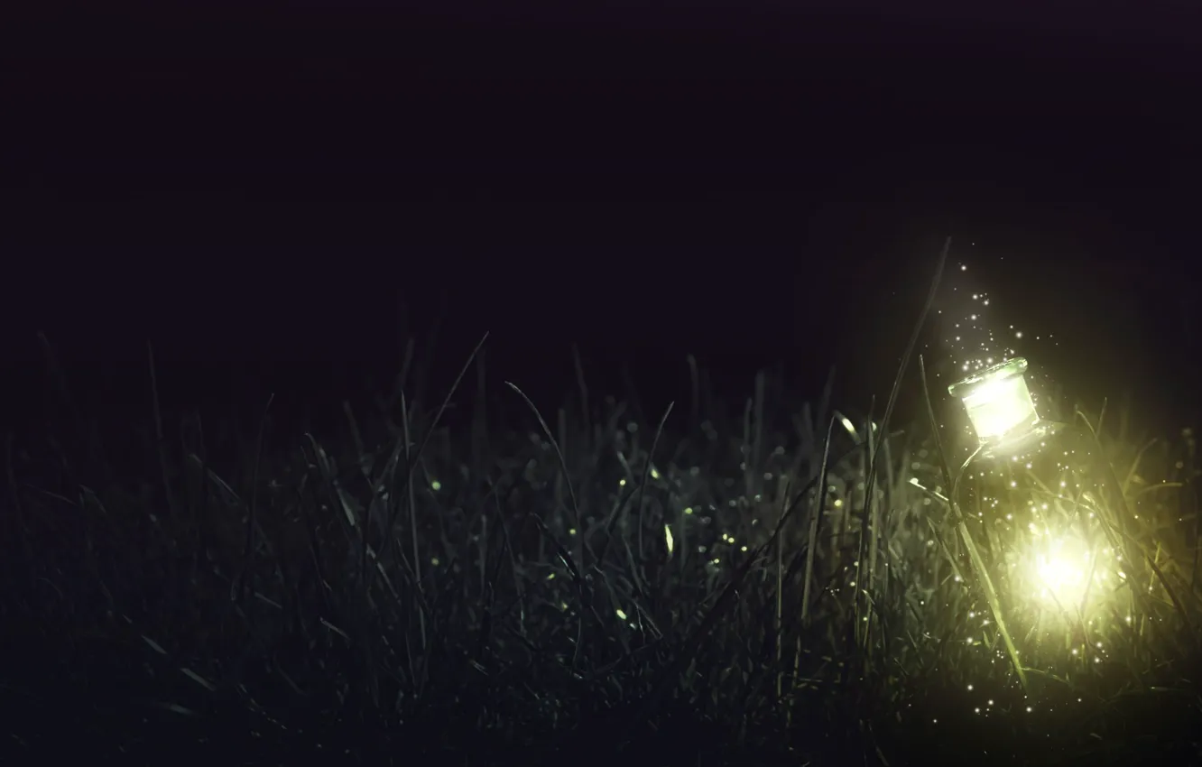 Фото обои трава, стекло, свет, ночь, lights, бутылка, glass, grass