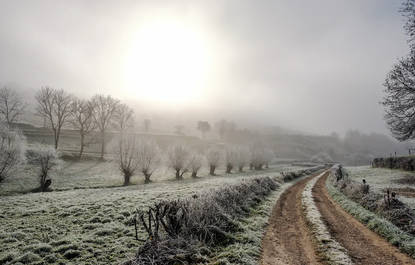 Фото обои зима, дорога, поле