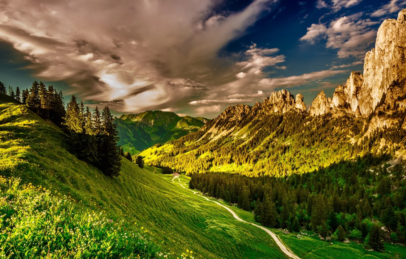 Фото обои зелень, лес, небо, трава, солнце, облака, деревья, горы