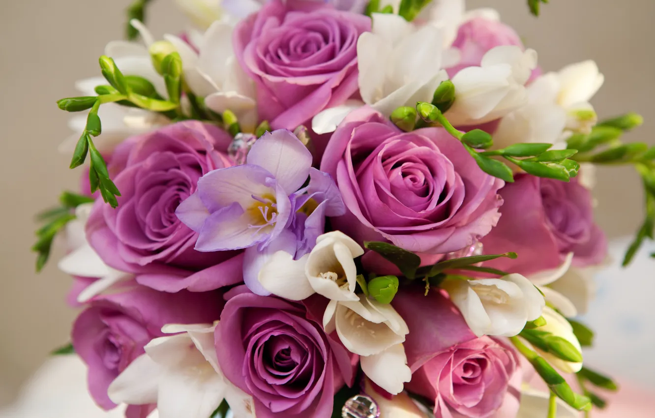 Фото обои фиолетовый, цветы, розы, букет, roses, Bouquet, Violet Flowers