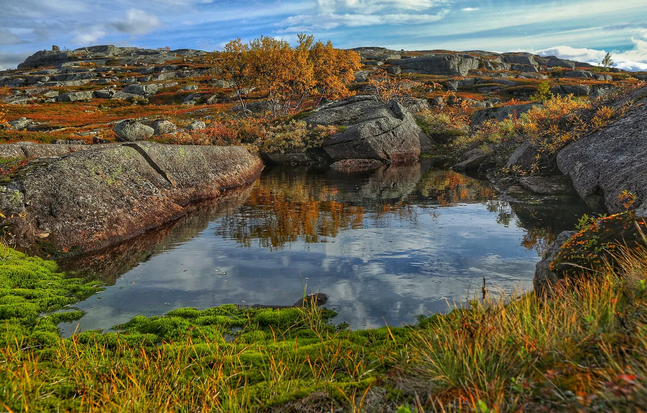 Фото обои осень, трава, озеро, камни, холмы, деревце