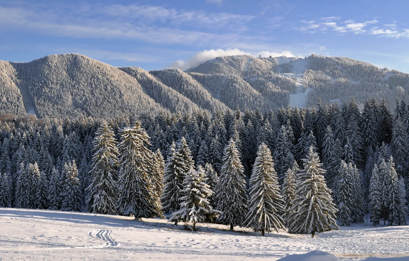 Фото обои зима, снег, деревья, пейзаж, горы, природа