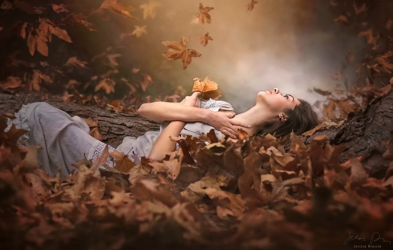 Фото обои ЛИСТЬЯ, НАСТРОЕНИЕ, ОСЕНЬ, ЛИСТВА, САРАФАН, by Jessica Drossin