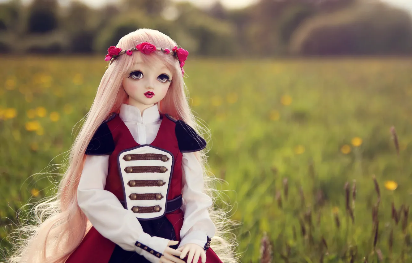 Фото обои поле, природа, игрушка, кукла, блондинка, венок, длинные волосы