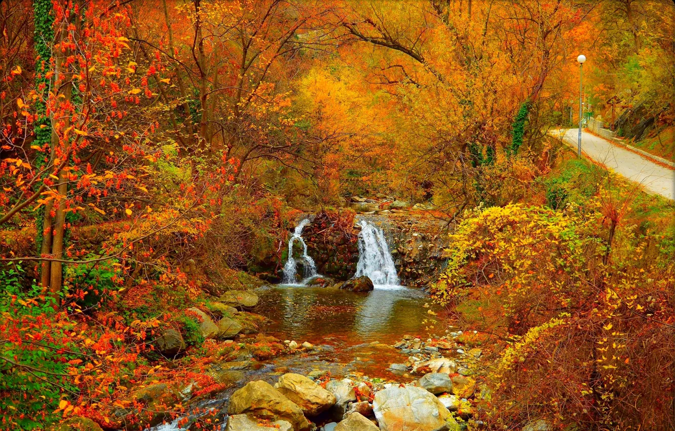 Фото обои Поток, Водопад, Осень, Камни, Fall, Листва, Речка, Дорожка