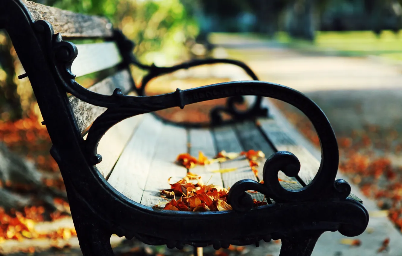 Фото обои осень, листья, скамейка, природа, парк