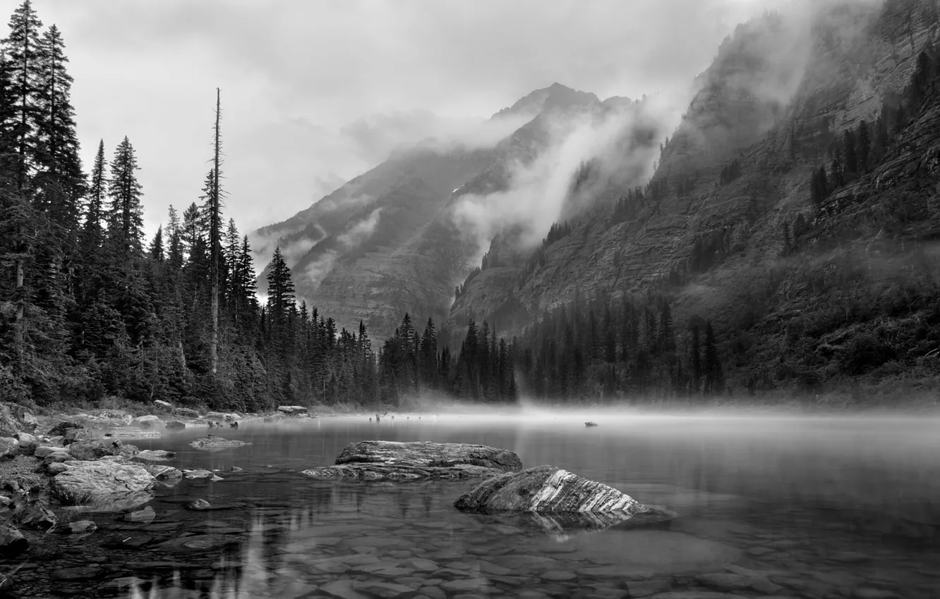 Фото обои деревья, горы, природа, озеро, скалы, чёрно-белое, монохром