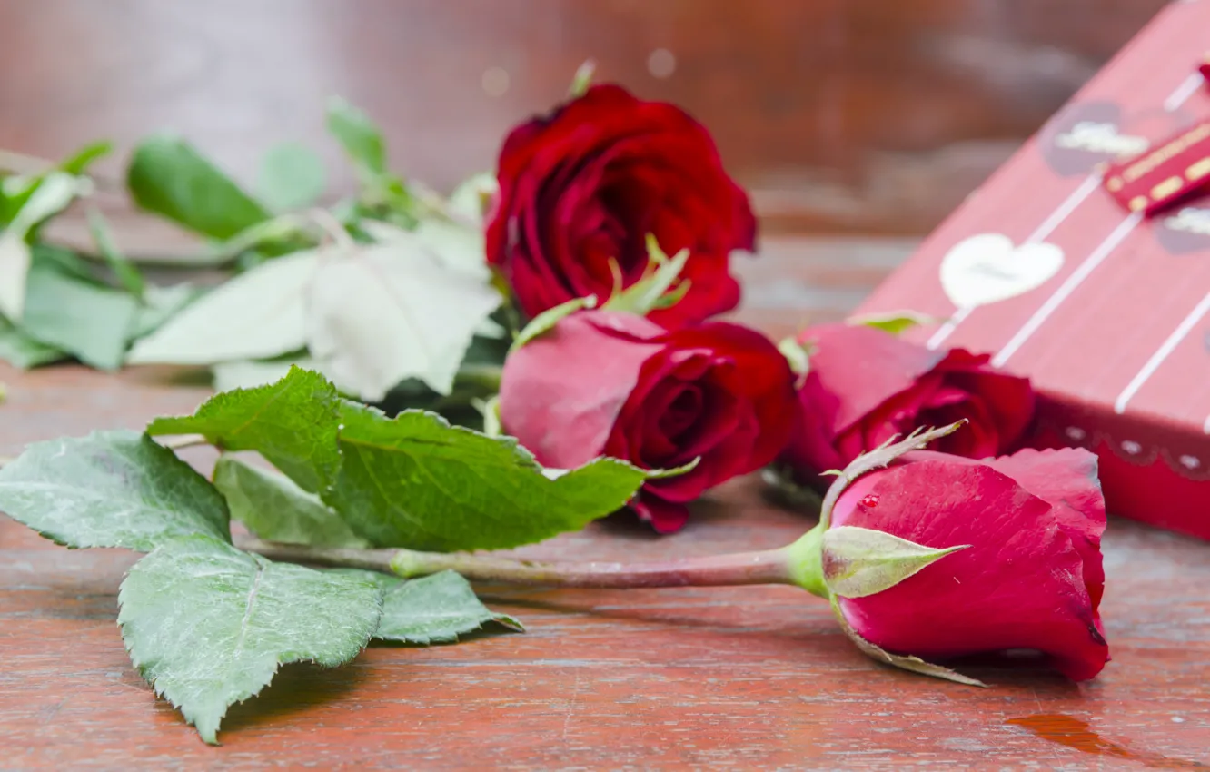 Фото обои цветы, подарок, розы, pink, flowers, romantic, gift, roses