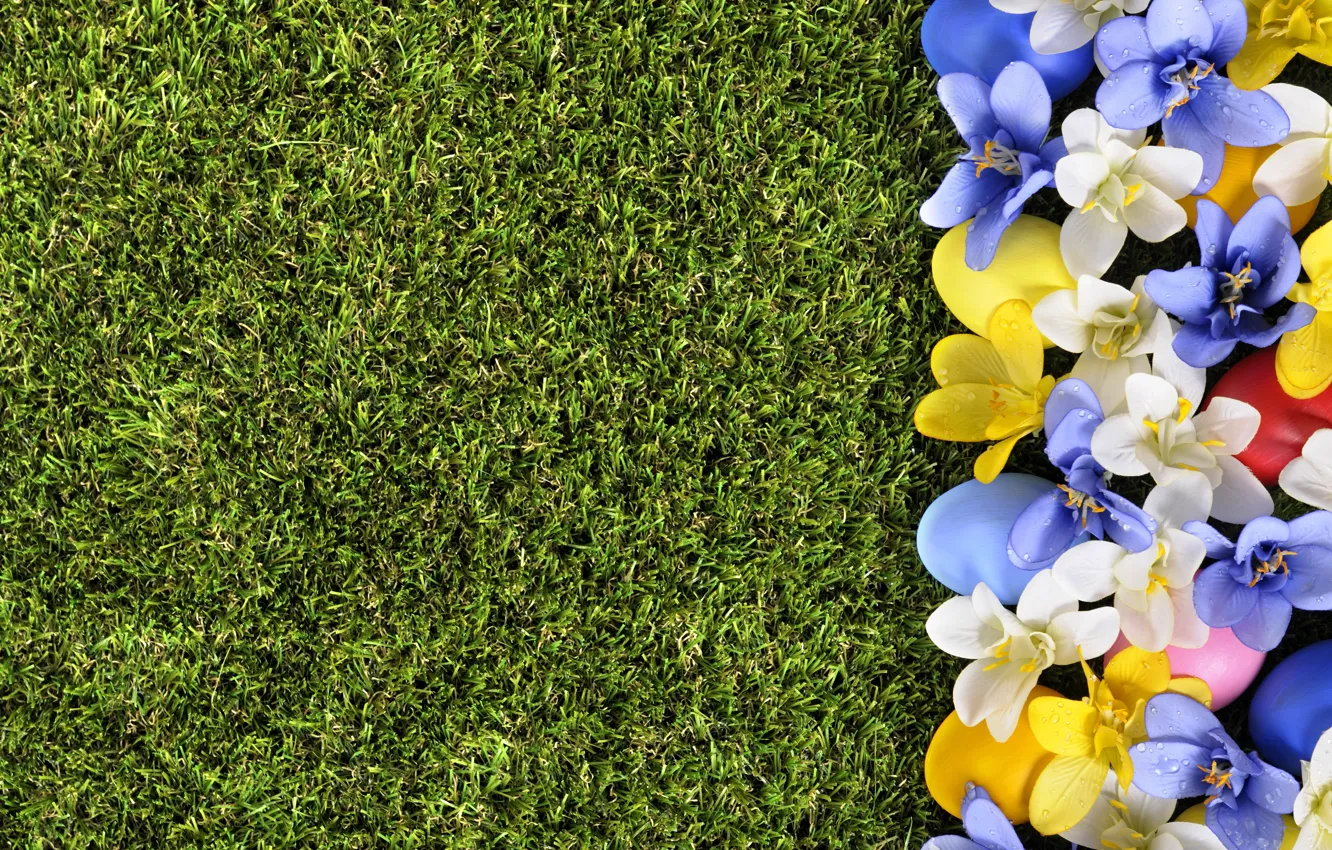 Фото обои трава, цветы, весна, Пасха, flowers, spring, Easter, eggs