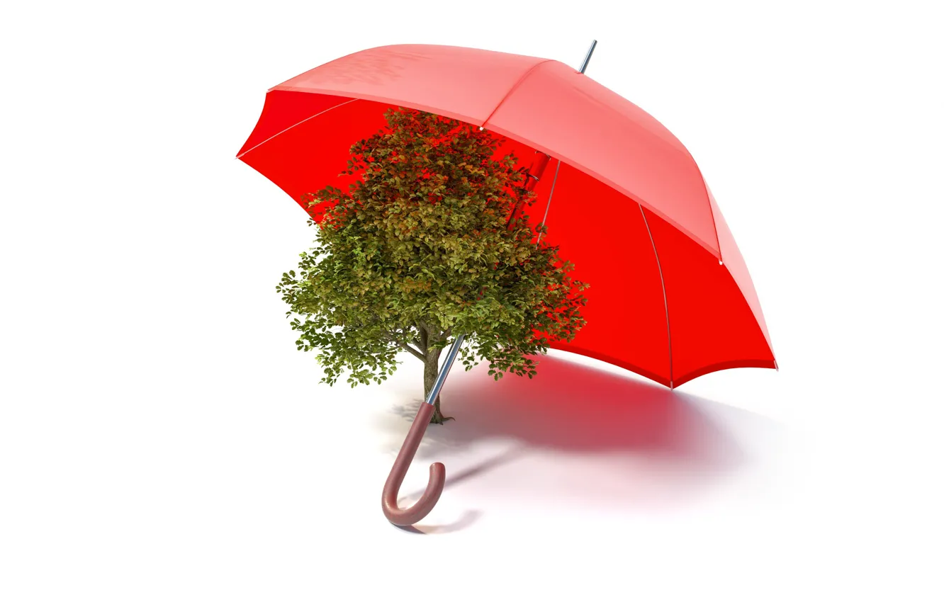 Фото обои дерево, коллаж, зонт, экология
