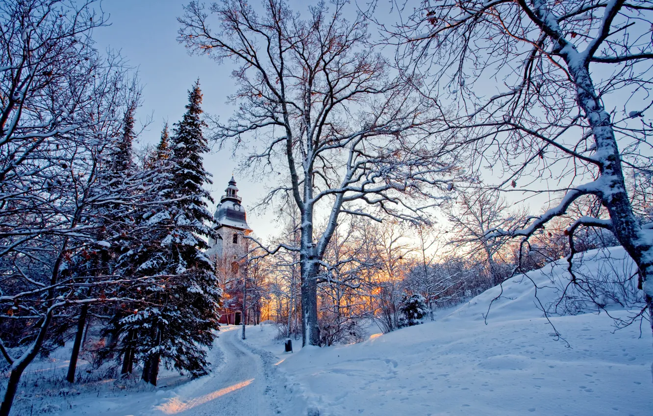 Фото обои зима, свет, снег, деревья, природа, церковь