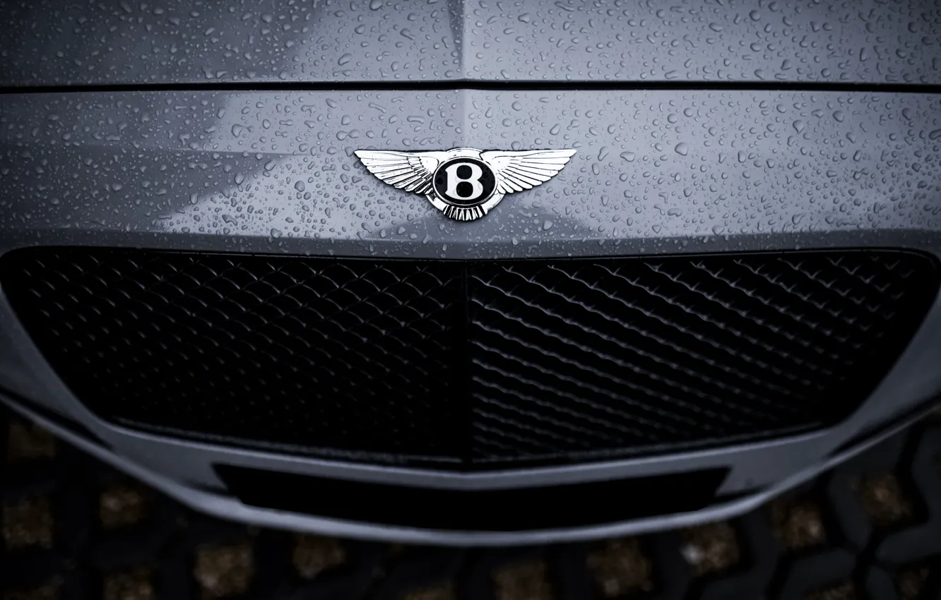 Фото обои Bentley, Water, Rain, Gray, VAG, Drops, Flying spur