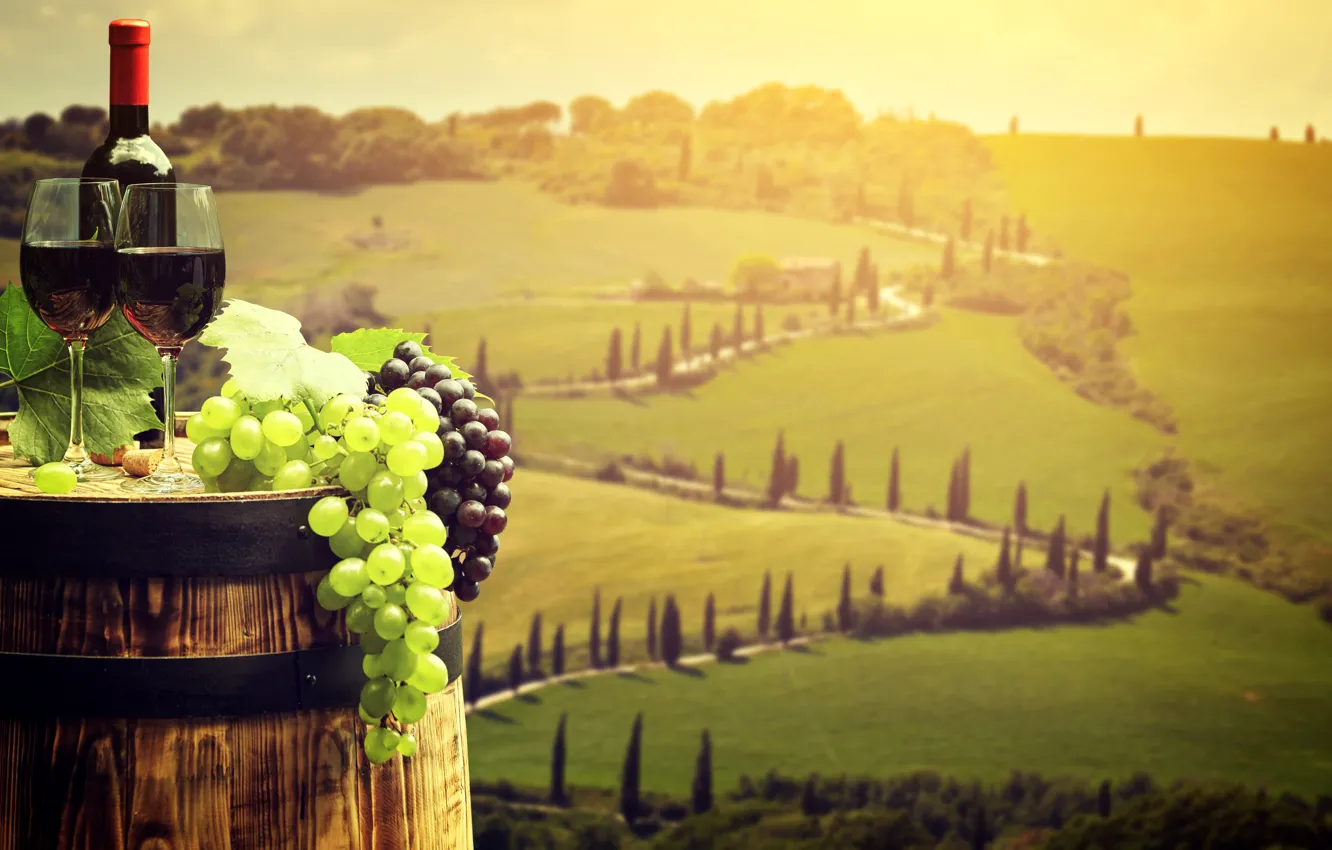 Фото обои пейзаж, красный, зеленый, вино, поля, бутылка, бокалы, виноград