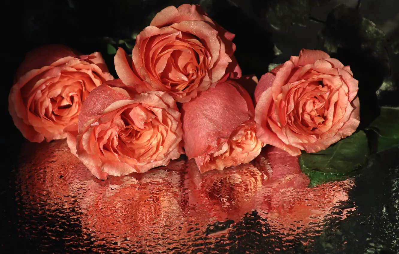 Фото обои стекло, капли, цветы, отражение, темный фон, розы, букет, розовые