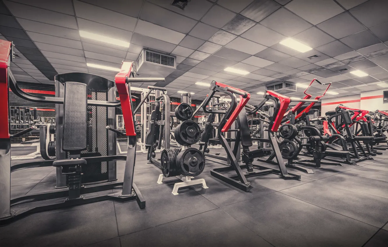 Фото обои Скамья, Штанга, Fitness, Gym