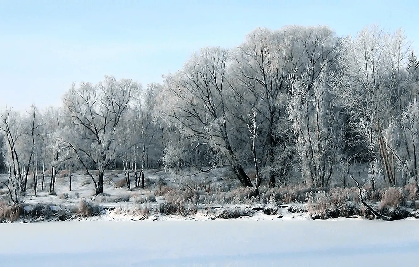 Фото обои иней, лес, снег, река, Зима, лёд, Сибирь