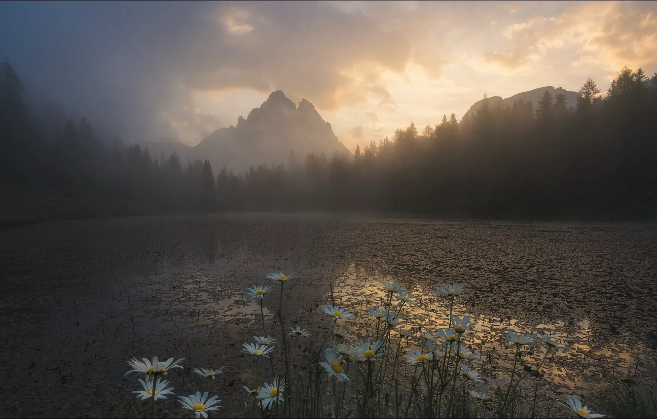 Фото обои цветы, горы, природа, озеро, вечер, Nature, flowers, mountain
