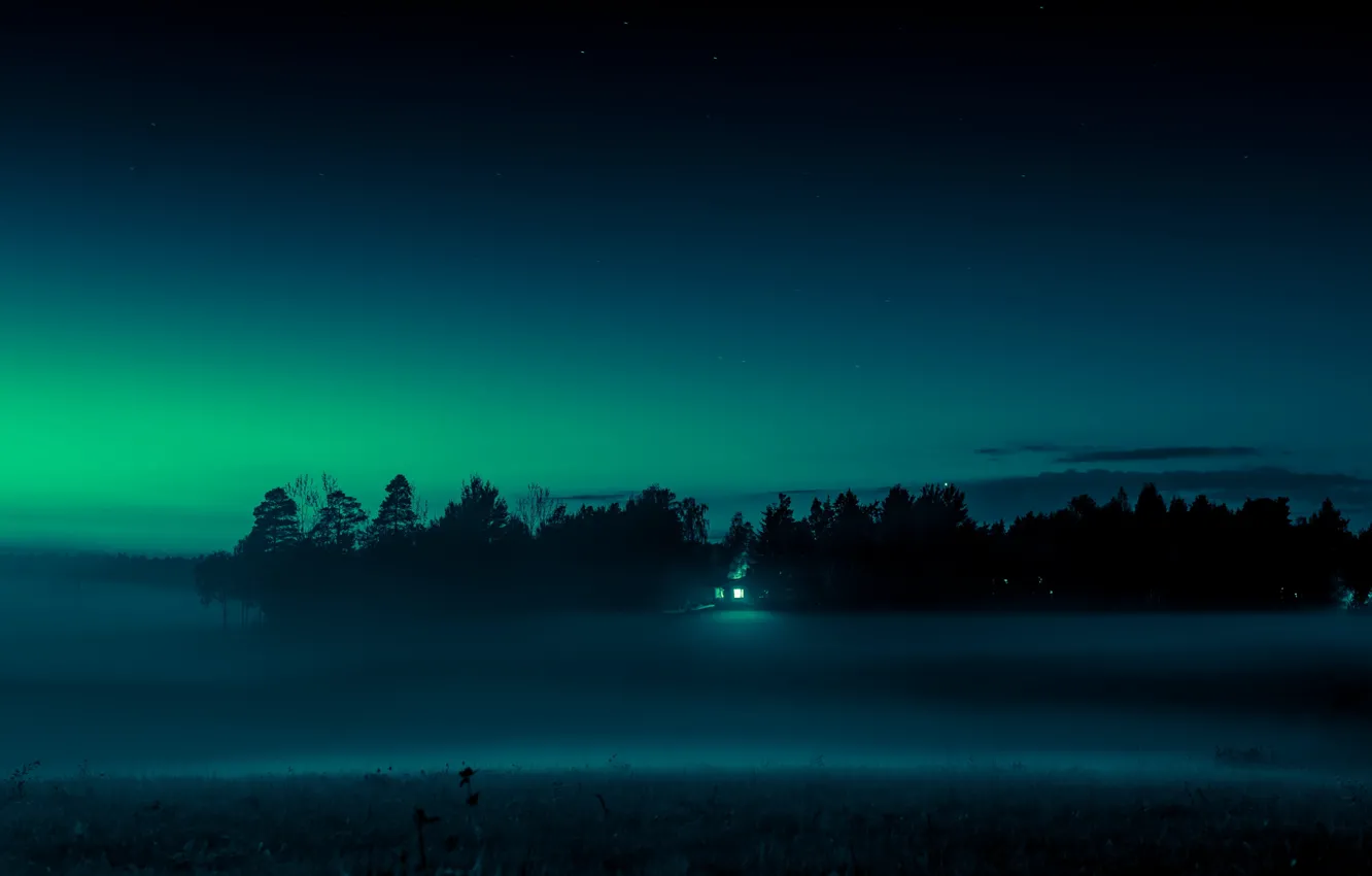 Фото обои поле, пейзаж, ночь, туман