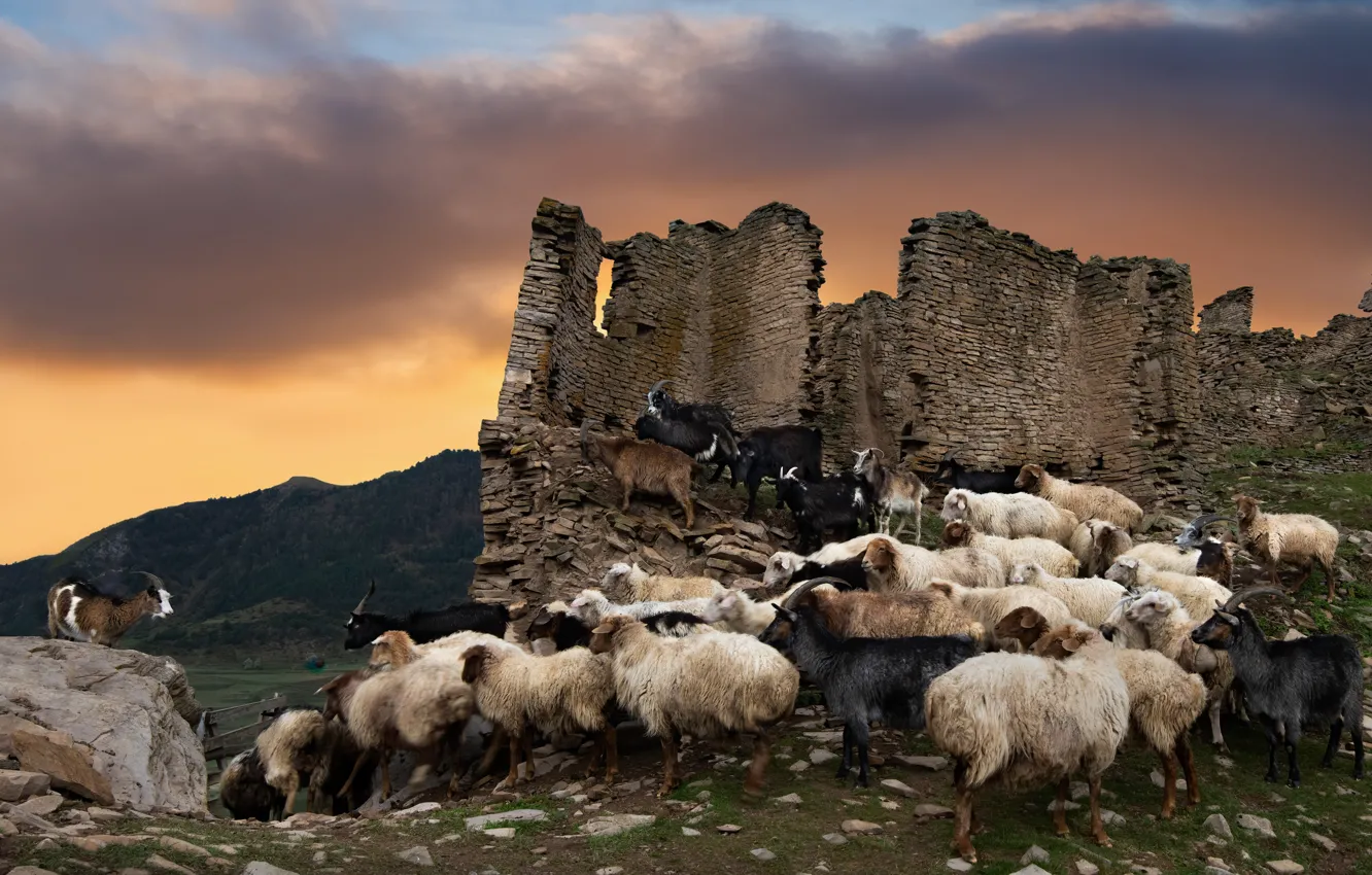 Три дагестана. Дагестанский фотограф кучевых. Дагестанская 3.