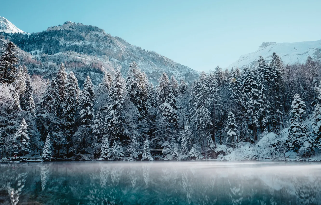Фото обои зима, лес, небо, снег, деревья, горы, природа, озеро